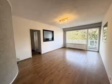 appartement 1 chambre avec terrasse rénové !