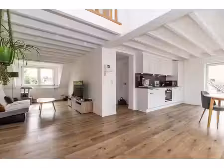 duplex