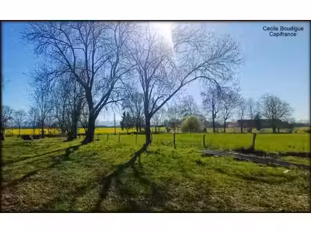 a proximité de soumoulou  terrain constructible 1200 m² environ avec un hangar de 80 m²
