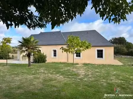 vente maison à chemazé (53200) : à vendre / 147m² chemazé