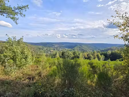 parcelle de foret