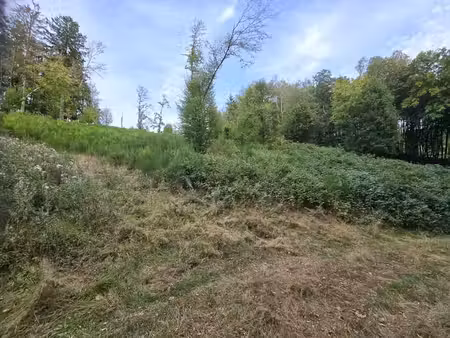 belle foret de 5100 m2