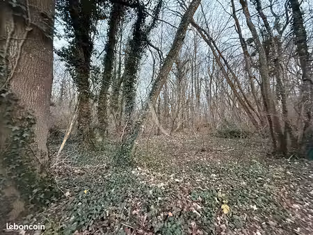 terrain 3008 m² le chatelet en brie