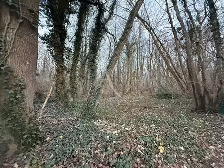 terrain de loisir le chatelet en brie 3008 m2