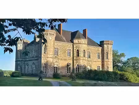 château les epesses (85)