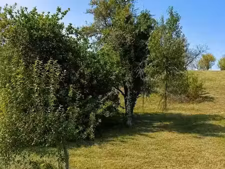 vente terrain 1595 m² à marnay (70150)  35 000 €