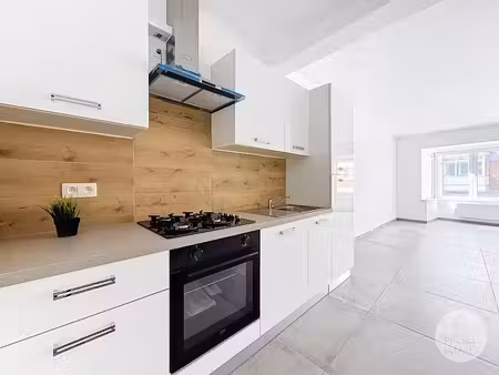 appartement rénové  1 chambre  cave  rue calme  peb : c.