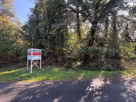 forêts