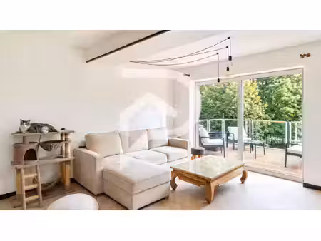 stephane plaza immobilier
