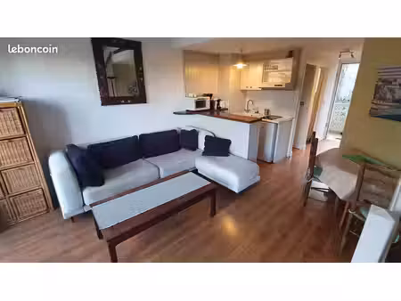 appartement t2 + mezzanine avec terrasse bodega