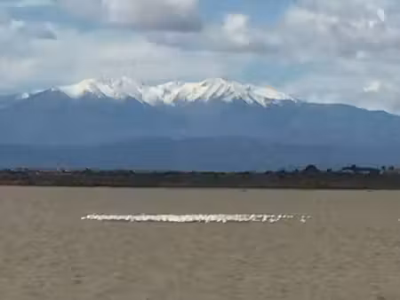 terrain agricole et de loisir