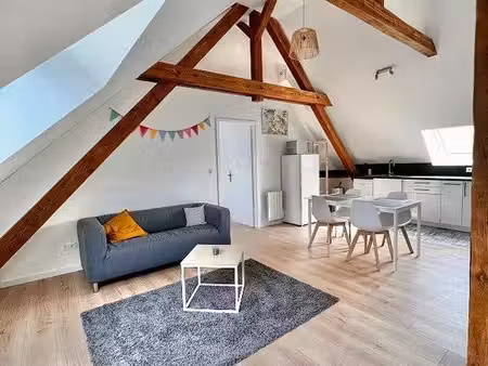 appartement 2 pièces rénové et meublé