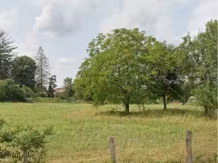 vergers   pâture ou terrain de loisirs