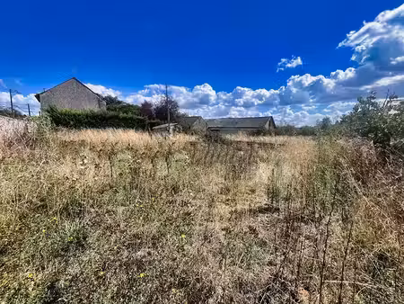 vente terrain 501 m² à mozé-sur-louet (49610)  65 000 €