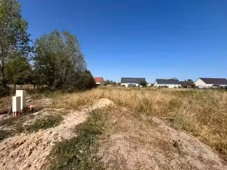 vente terrain 798 m² à pruniers-en-sologne (41200)  50 000 €