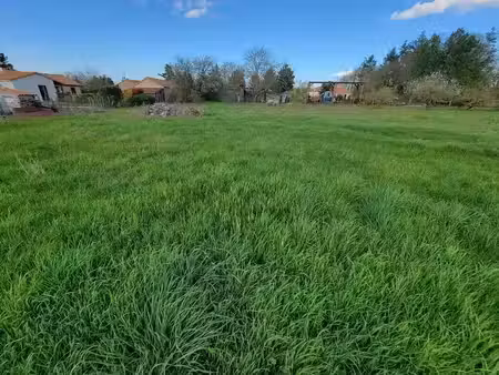 vente terrain à batir 3039 m² à saint-martin-la-pallu (86380)  54 000 €