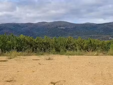 vente terrain 343 m² à los masos (66500)  59 900 €