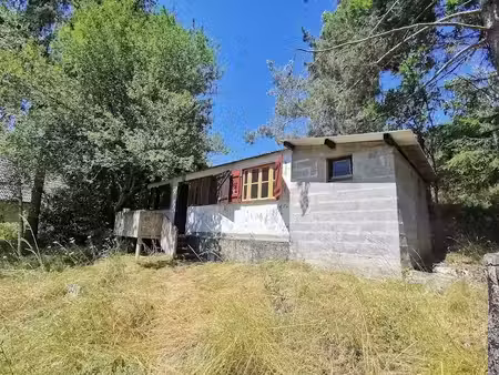 vente terrain 740 m² à belcaire (11340)  60 000 €