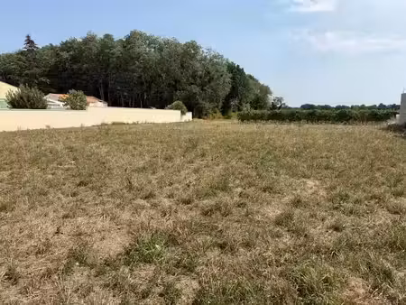 vente terrain 1023 m² à epargnes (17120)  64 000 €