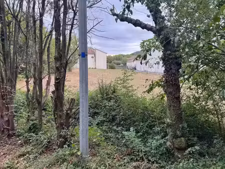vente terrain 1249 m² à laval-pradel (30110)  65 000 €