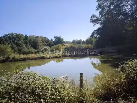vente terrain 50000 m² à la porcherie (87380)  73 000 €