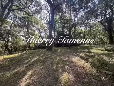 vente terrain à bérenx (64300)  55 000 €