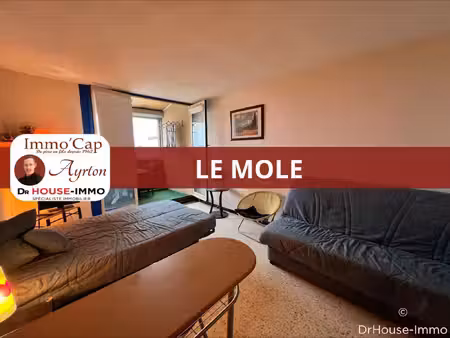 studio de 25m2 avec loggia au mole