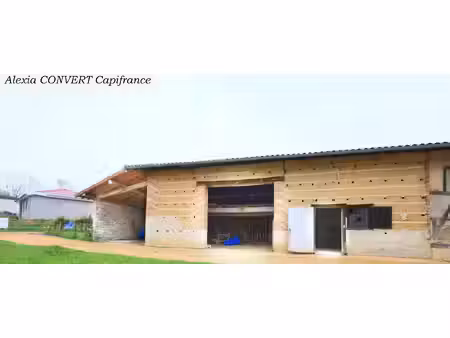bâtisse à vendre 5 pièces + abris proche de mezeriat (01) terrain 1320m² constructible