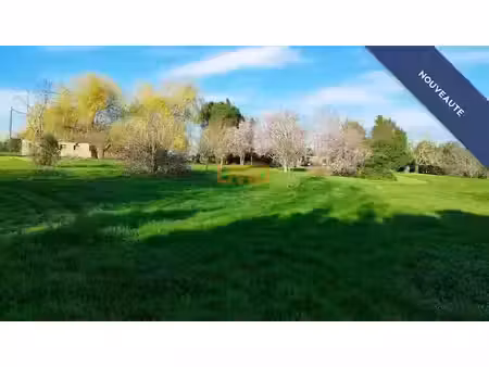 vente terrain 5000 m² à caubiac (31480)  159 000 €
