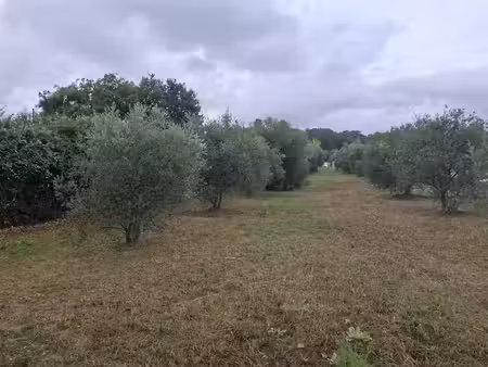 vente terrain 500 m² à la motte-d'aigues (84240)  145 000 €