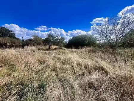 vente terrain 974 m² à mozé-sur-louet (49610)  116 880 €
