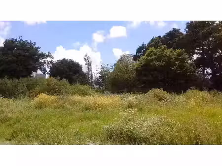 vente terrain 650 m² à plougonvelin (29217)  206 000 €