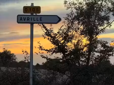 vente terrain 489 m² à avrille (85440)  84 000 €