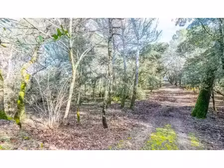 vente terrain 1290 m² à bagnols-sur-ceze (30200)  93 000 €