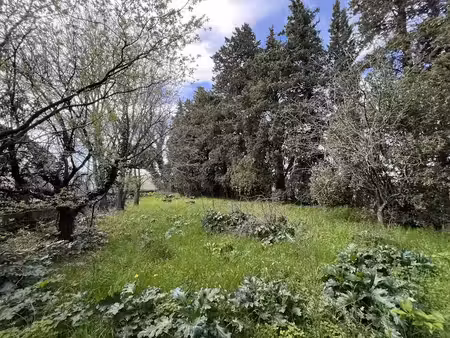 vente terrain à batir 893 m² à connaux (30330)  95 000 €