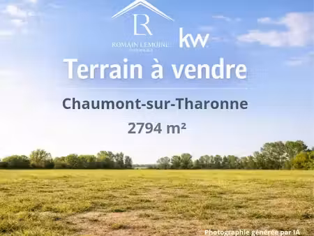 vente terrain à batir 2794 m² à chaumont-sur-tharonne (41600)  99 900 €