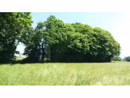 vente terrain 947 m² à erquy (22430)  187 020 €