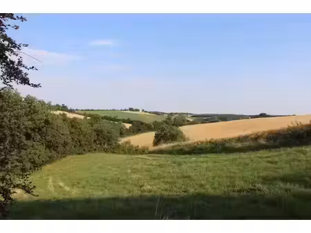 vente terrain 60000 m² caraman (31460)