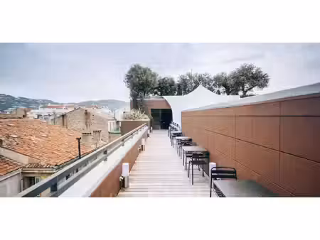 propriété cannes (06)