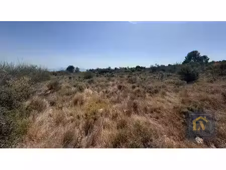 a vendre terrain agricole d'environ 19890 m2