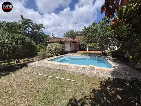 mn immobilier