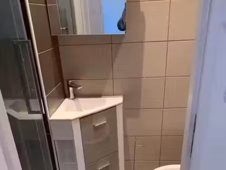 location appartement 1 pièce 20 m² à grenoble (38000)  495 €
