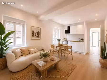 appartement t2 entièrement rénové – cuisine équipée –villeneuve-l’archevêque