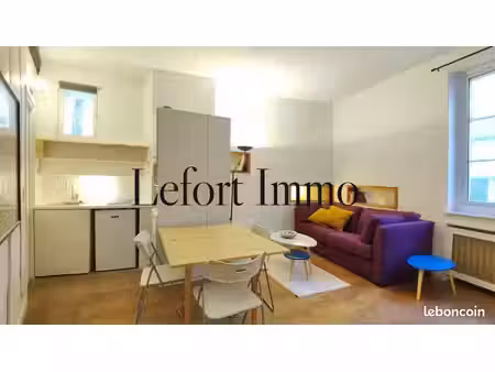 studio 1 pièce 20 m²