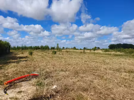 terrain de 1163 m² dont 409 m² constructibles