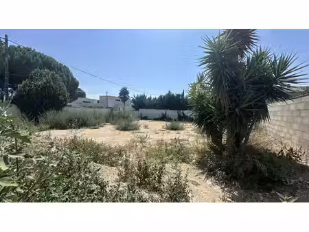 terrain de 580m2 viabilisé   grau d'agde  quartier baluffe 