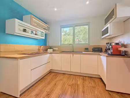 vente maison 7 pièces 245 m² bray-sur-seine (77480)