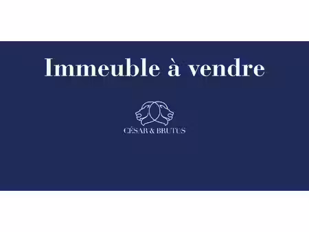 propriété saint-etienne (42)