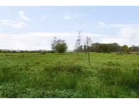 terrain agricole