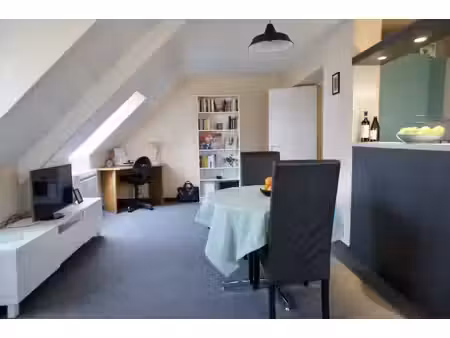 falize immobilier
